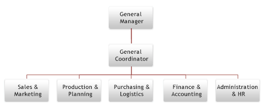 Organisational Chart of Basar Display & Promotions