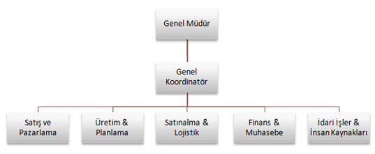 Başar Ambalaj'ın Organizasyon Şeması